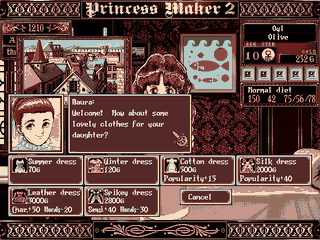 En 1995 no existían juegos como Princess Maker 2 en el mercado norteamericano.