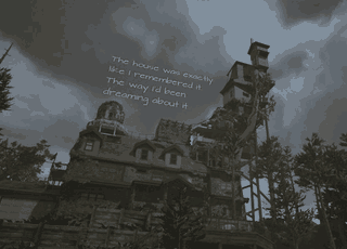 A pesar de que Blake nunca trabajó en diseño de videojuegos, su visión de la casa Winchester parece haber influido en títulos como What Remains of Edith Finch .