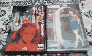 ¿Sueñan las Esposas Holandesas con Anguilas Eléctricas? y Feirie’s Residence, dos de los primeros “eroge” de la historia (1984)